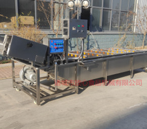 去農藥殘留清洗機